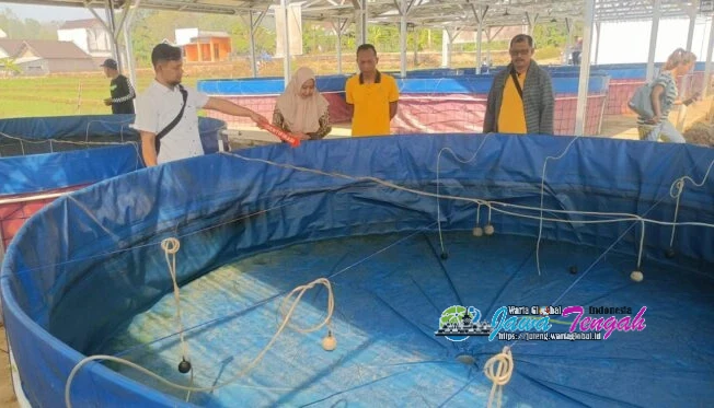 5.000 Ekor Lele Milik Koperasi Desa Merah Putih Diduga Diracun, Polisi Gelar Olah TKP 5.000 Ekor Lele Milik Koperasi Desa Merah Putih Diduga Diracun, Polisi Gelar Olah TKP