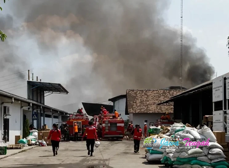 Pascakebakaran, Operasional PT Porto Dihentikan Sepekan, Polisi Tunggu Hasil Olah TKP Labfor Pascakebakaran, Operasional PT Porto Dihentikan Sepekan, Polisi Tunggu Hasil Olah TKP Labfor
