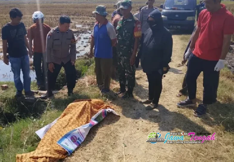 Warga Temukan Pria Meninggal di Pematang Sawah Karangmalang, Polisi Lakukan Penyelidikan